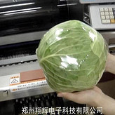  蔬菜自动包装机 