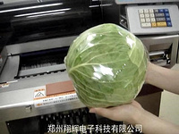 蔬菜自动包装机